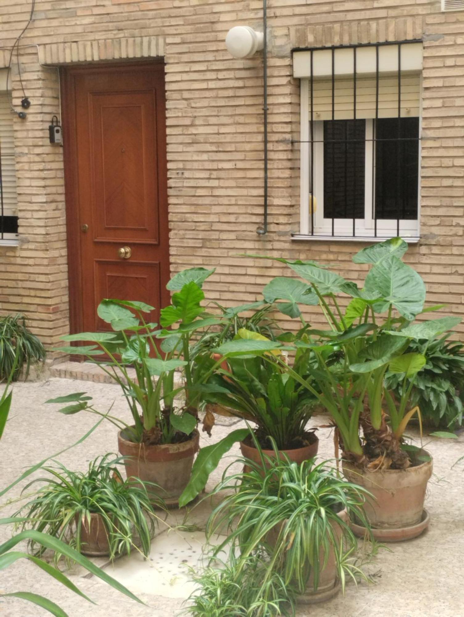 La Casa De Pepa Apartment Севиля Екстериор снимка